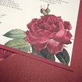 Zaproszenie Ślubne w Kolorze Ecru z Kwiatami i Wycięciem Laserowym F5537