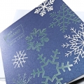 Kartka Świąteczna z płatkami śniegu FS997